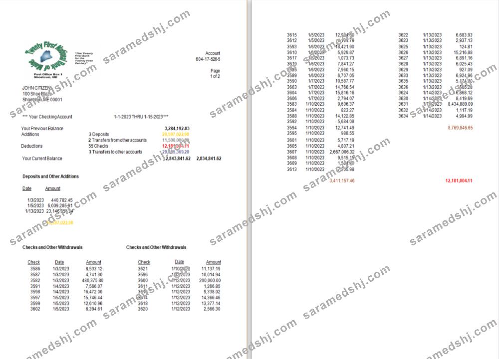 USA Twenty First National Bank of Maine bank statement Word and PDF template, 2 pages scr